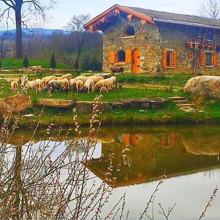 Cabana Casa De Piatra, De La Mara Deseşti Εξωτερικό φωτογραφία