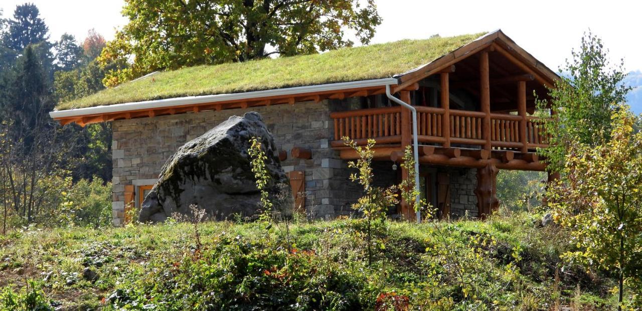 Cabana Casa De Piatra, De La Mara Deseşti Εξωτερικό φωτογραφία