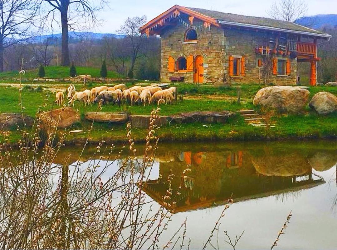 Cabana Casa De Piatra, De La Mara Deseşti Εξωτερικό φωτογραφία